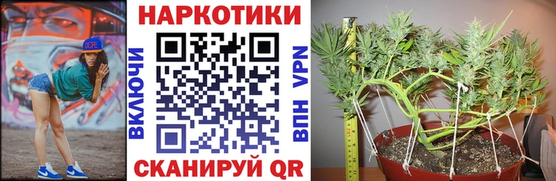 Купить закладку Наволоки мега зеркало СК Метамфетамин МЕФ Гашиш Бошки Шишки