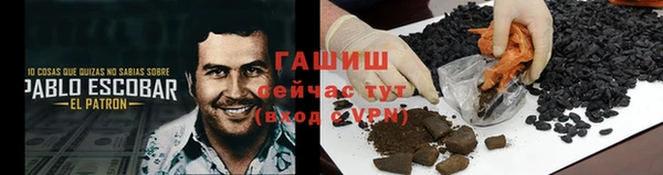 PSILOCYBIN Бугульма