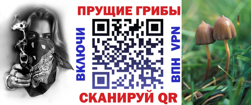 Псилоцибиновые грибы MAGIC MUSHROOMS  Наволоки 